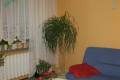 Atrakcyjna oferta. Pikne, zadbane i wygodne M-3 Os. Wschd